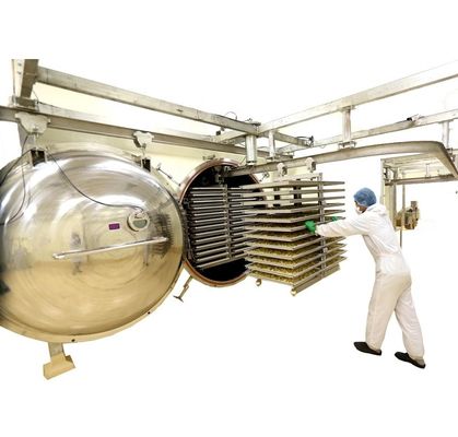 Mesin Pengering Beku 1000 kg