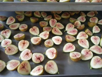 Mesin Stainless Steel Industri Buah Beku Kering