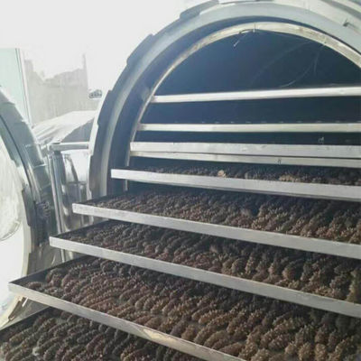 Mesin Stainless Steel Industri Buah Beku Kering