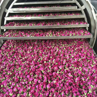 Mesin Stainless Steel Industri Buah Beku Kering